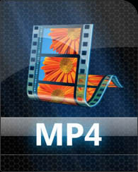 mp4